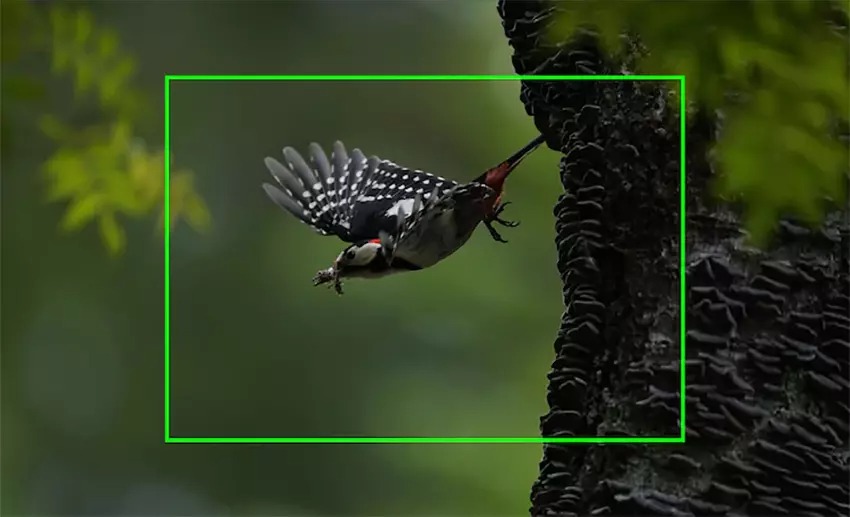 Sony Alpha A7R IVA 2