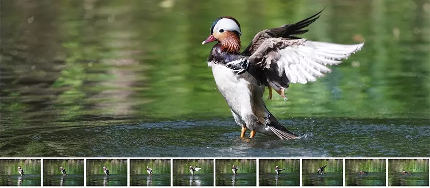 Sony Alpha A7R IVA 4