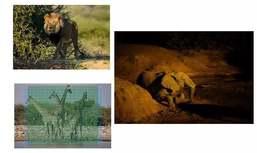 Sony Alpha A7R IVA 5