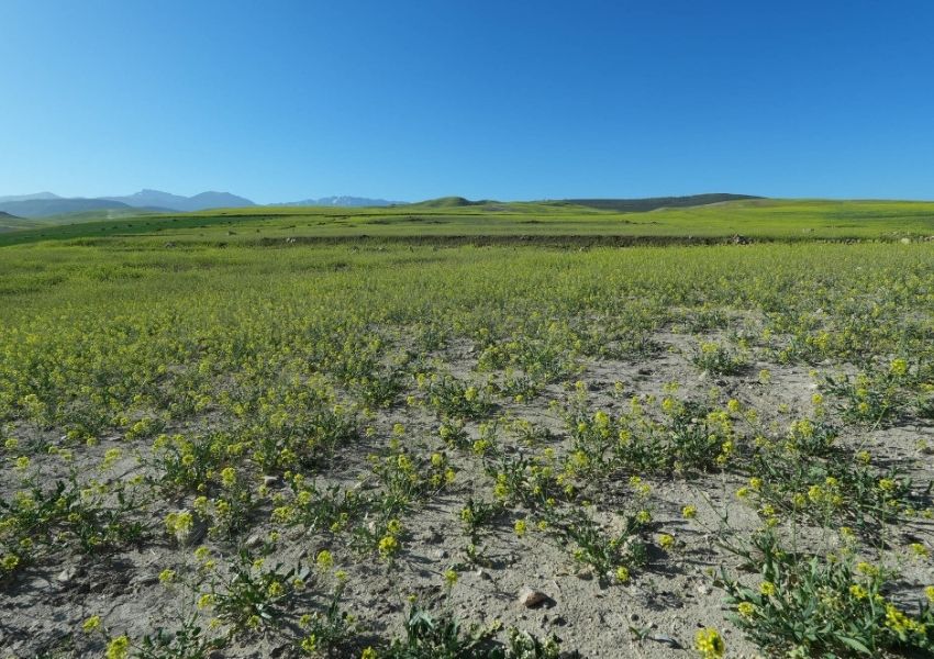 Hình ảnh chụp bởi máy ảnh Sony ZV-E10 Mark II