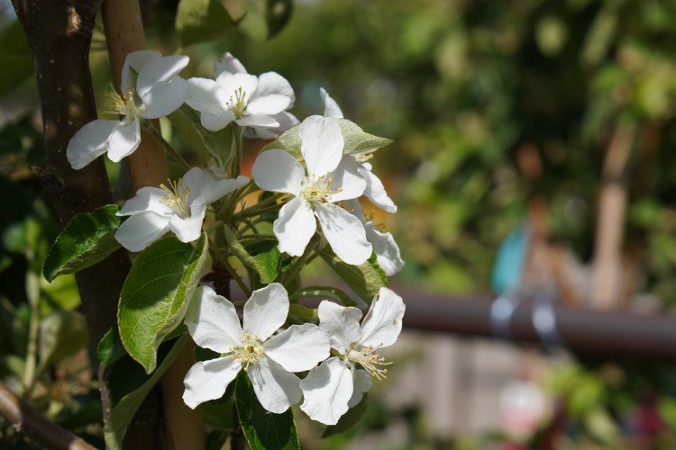 Ảnh chụp từ Sony ZV-E10