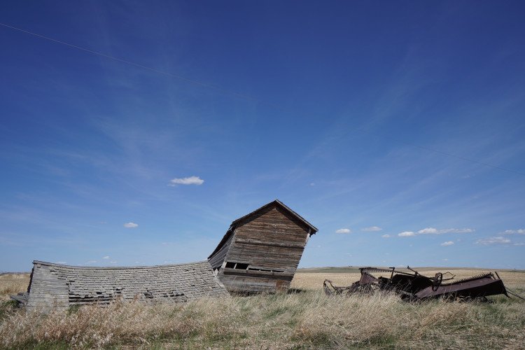 Ảnh chụp từ Sony ZV-E10