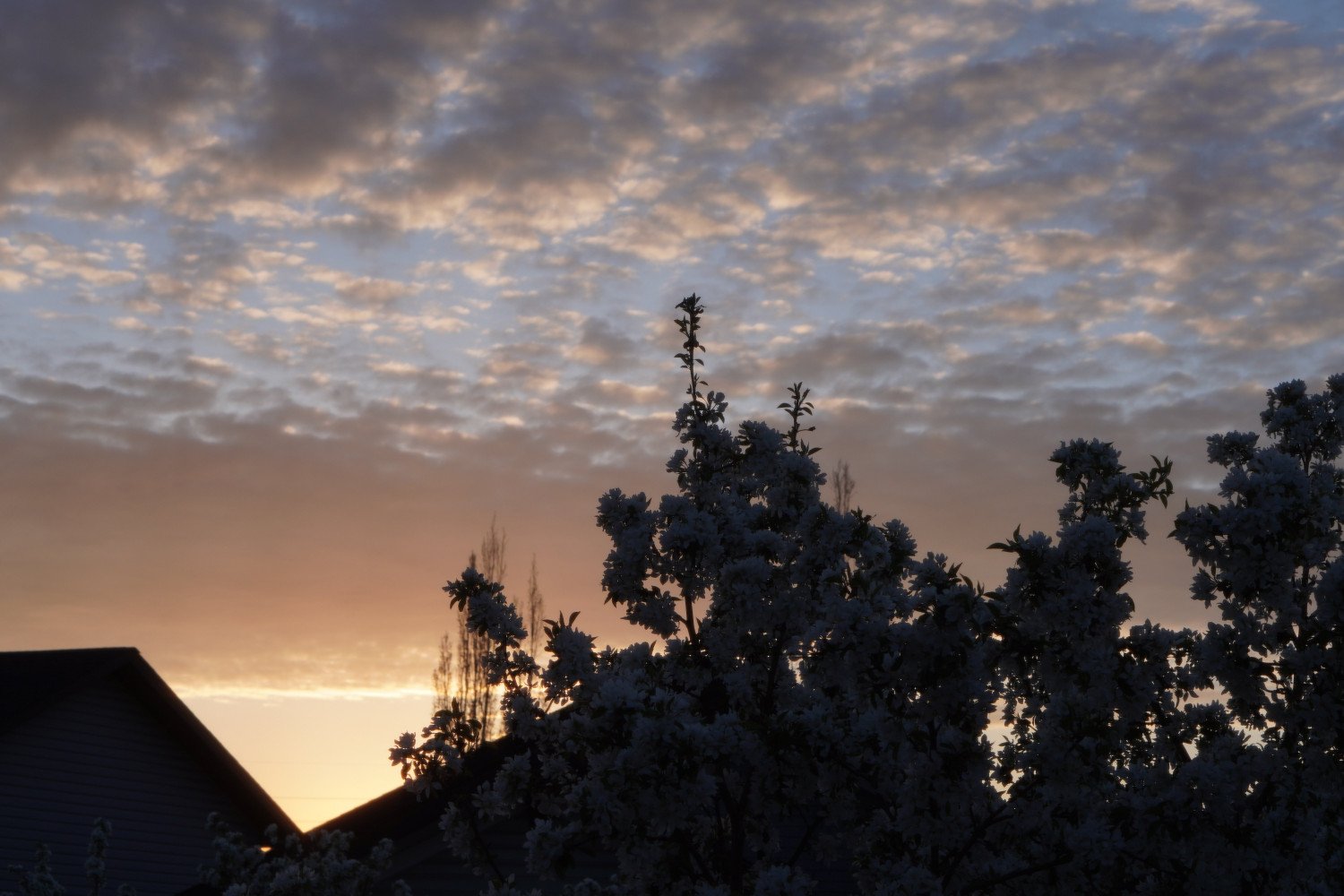 Ảnh chụp từ Sony ZV-E10