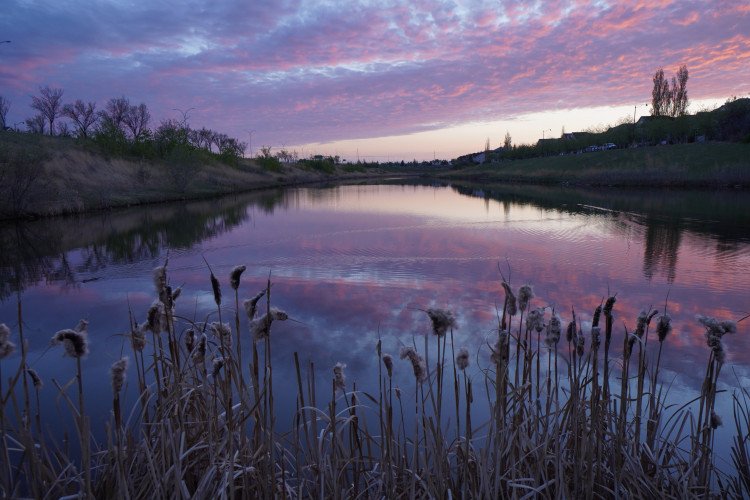 Ảnh chụp từ Sony ZV-E10