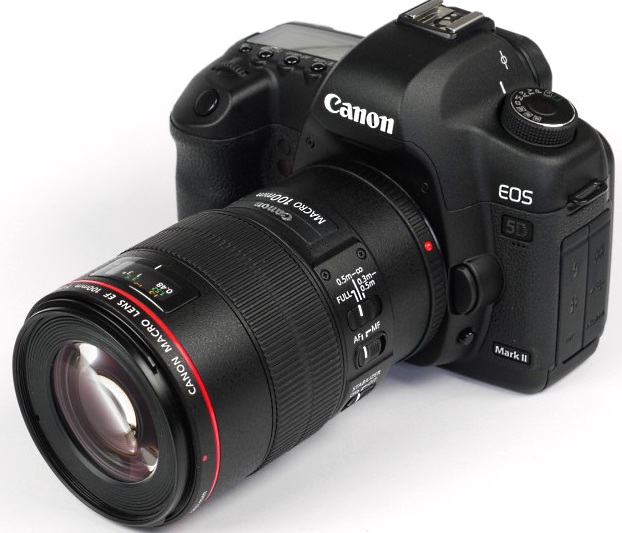 Canon EF 100mm f/2.8L Macro IS USM 2