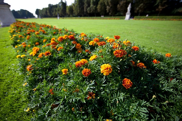 Canon EF 14mm f28 L II USM 7