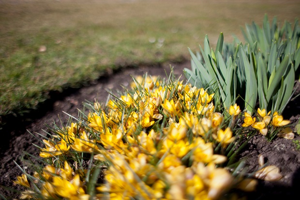 Canon EF 28mm f/1.8 USM 4