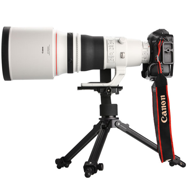 Canon EF 400mm f/2.8 L IS II USM 2