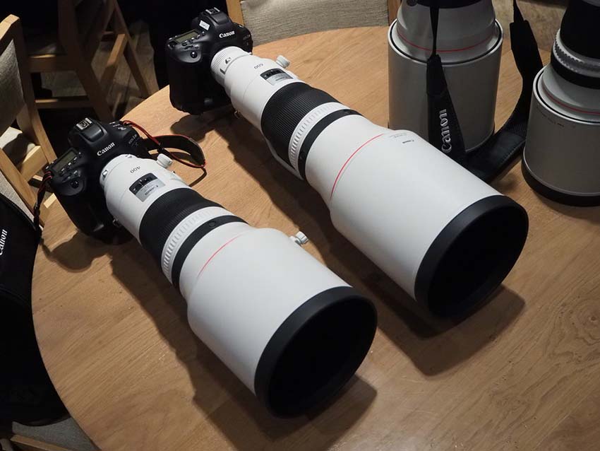 Canon EF 400mm f/2.8L IS III USM