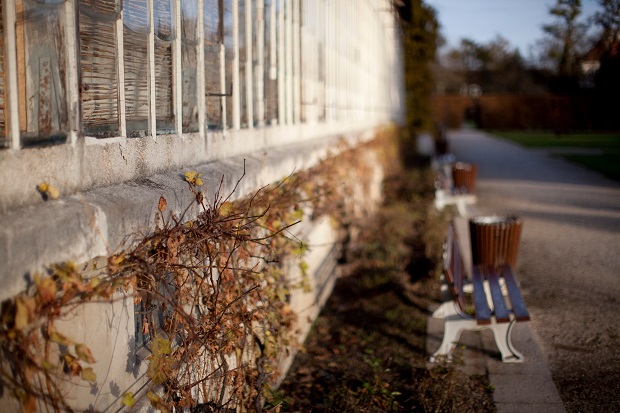 Canon EF 50mm f/1.2 L USM 4