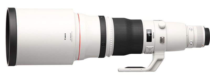 Canon EF 600mm f/4 L IS USM 3