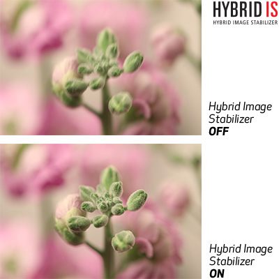 Canon EF-S 35mm f/2.8 Macro IS STM 2