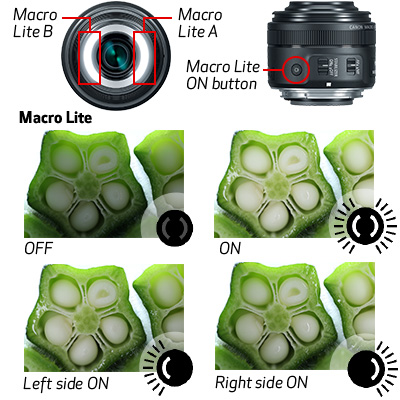 Canon EF-S 35mm f/2.8 Macro IS STM 3