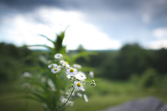 Nikon AF-S Nikkor 24mm f/1.4G ED 4