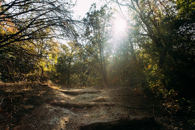 Nikon AF Nikkor 24mm f/2.8D 4