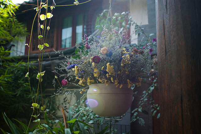 Nikon AF Nikkor 24mm f/2.8D 6