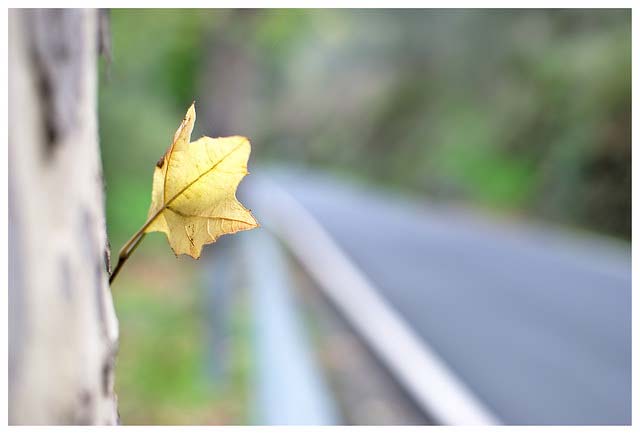 Nikon AF-S Nikkor 35mm f/1.8G ED 3