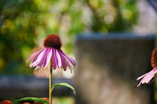 Nikon AF-S DX Nikkor 18-140mm F/3.5-5.6 G ED VR 7