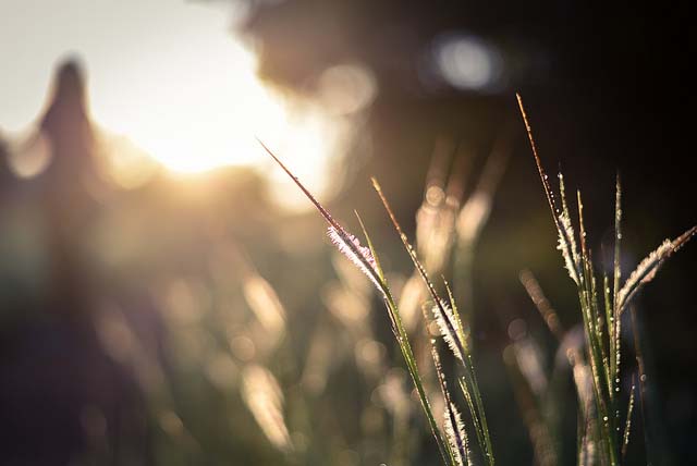 Nikon AF-S Nikkor 50mm f/1.8G 5