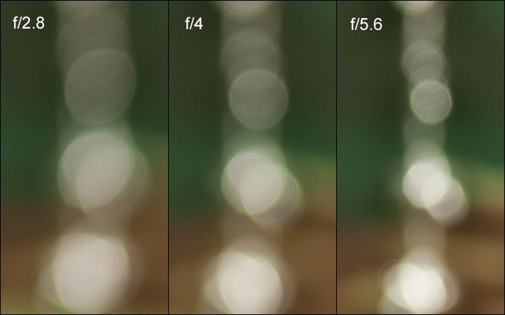 Sigma 105mm f2.8 EX DG OS HSM Macro 08