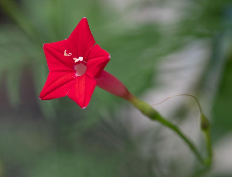 FUJIFILM GF 120mm 04