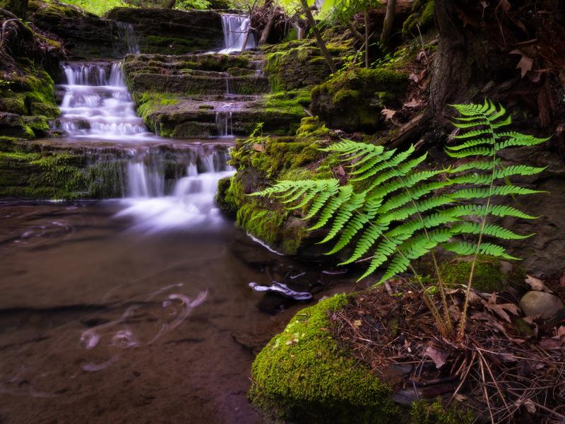 Fujifilm GF 32-64mm f/4 R LM WR 7