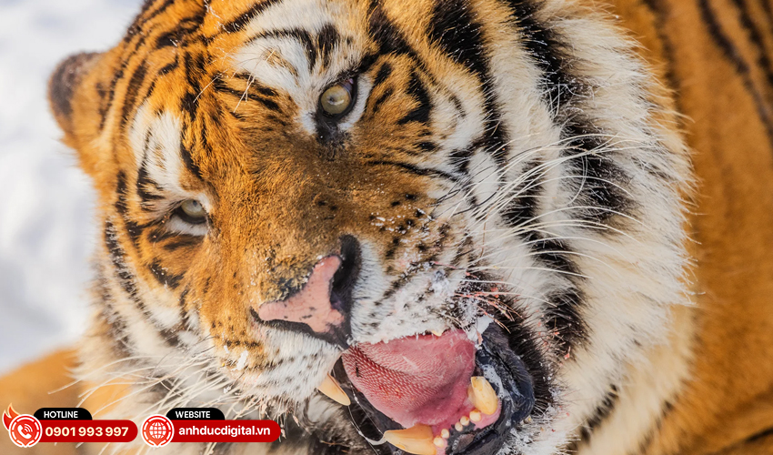 Fujifilm-GF-500mm-f5.6-R-LM-OIS-WR-21