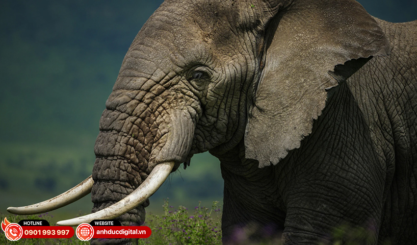 Fujifilm-GF-500mm-f5.6-R-LM-OIS-WR-24