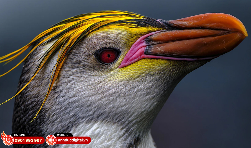 Fujifilm-GF-500mm-f5.6-R-LM-OIS-WR-27