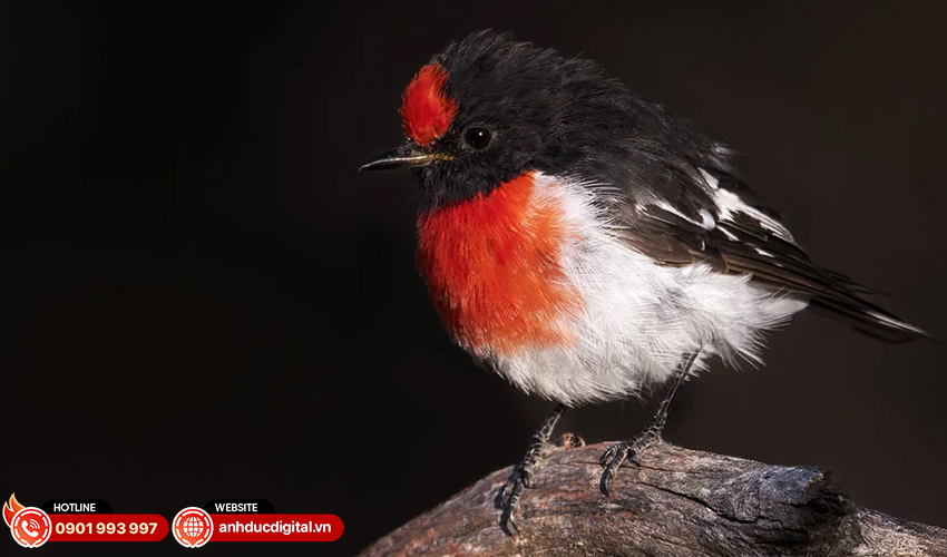 Fujifilm-GF-500mm-f5.6-R-LM-OIS-WR-30