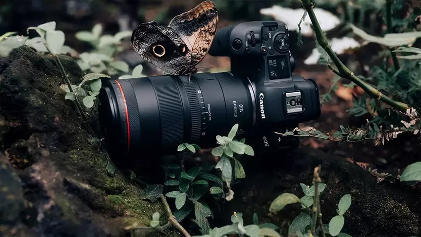 Canon RF 100mm f2.8 01