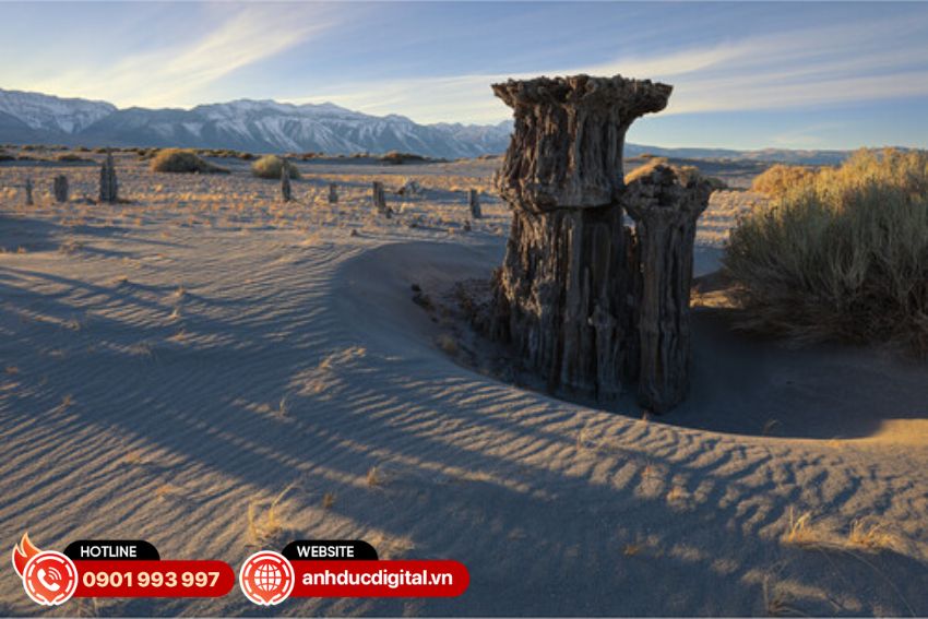 Hệ thống AF nhanh và mượt của ống kính canon RF 16-28mm f/2.8