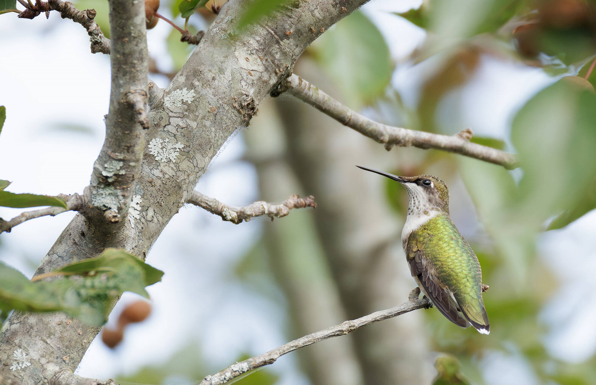 Chất lượng hình ảnh tuyệt vời