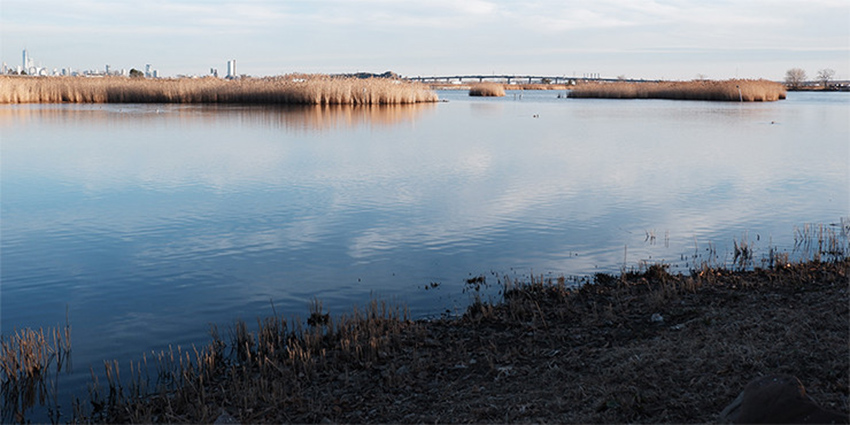 Fujifilm XC 15-45mm f3.5-5.6 04