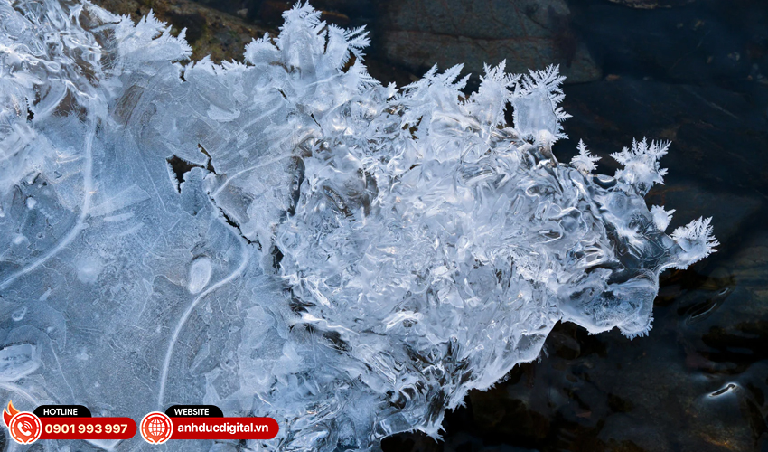 Khả năng chụp ảnh cận cảnh ấn tượng