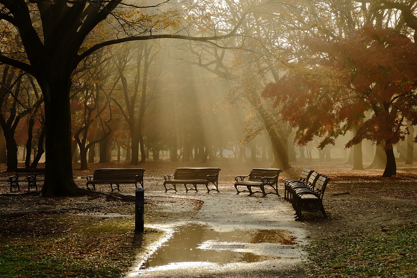 Fujifilm XF 16-55mm f2.8 05