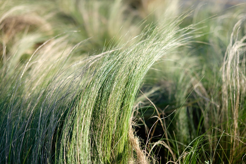 Fujifilm XF 35mm f/2 R WR 10