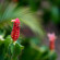 Ống kính Fujifilm XF 56mm f/1.2 R APD (Chính hãng) Ảnh khách hàng 0