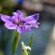 Ống kính Fujifilm XF 56mm f/1.2 R APD (Chính hãng) Ảnh khách hàng 1
