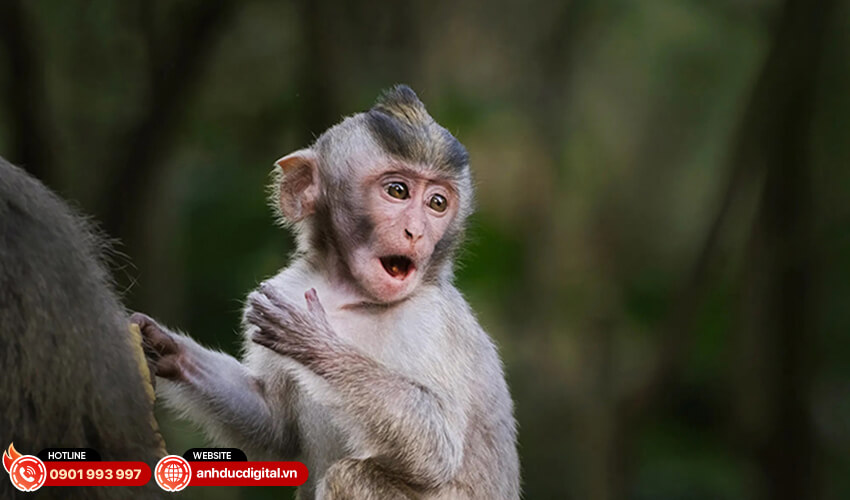 Fujifilm XF500mm f5.6 R LM OIS WR 22