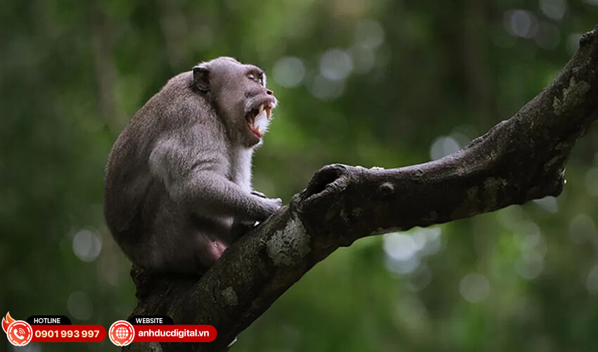 Fujifilm XF500mm f5.6 R LM OIS WR 24