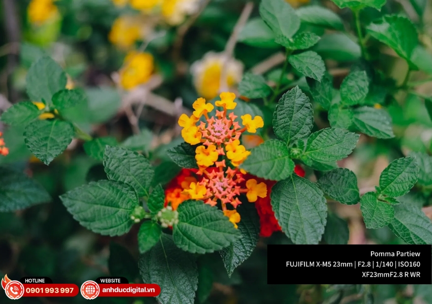 XF 23mm F2.8 R WR lấy nét siêu nhanh với động cơ DC