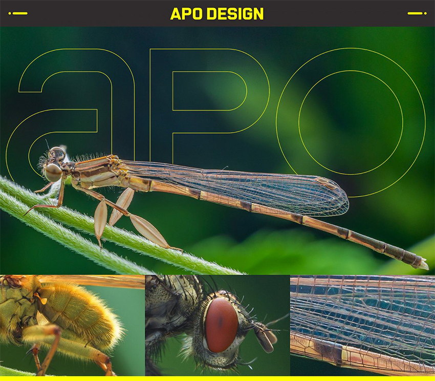 Ống kính Laowa 58mm f2.8 2X Ultra Macro APO 19