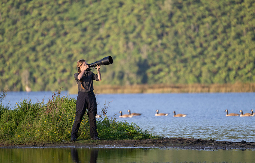 Nikkor Z 800mm f/6.3 VR S 5