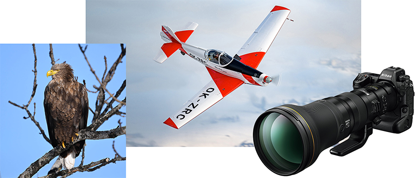 Nikkor Z 800mm f/6.3 VR S 8