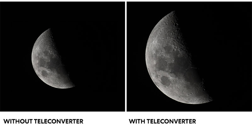 Nikkor Z 800mm f/6.3 VR S 10