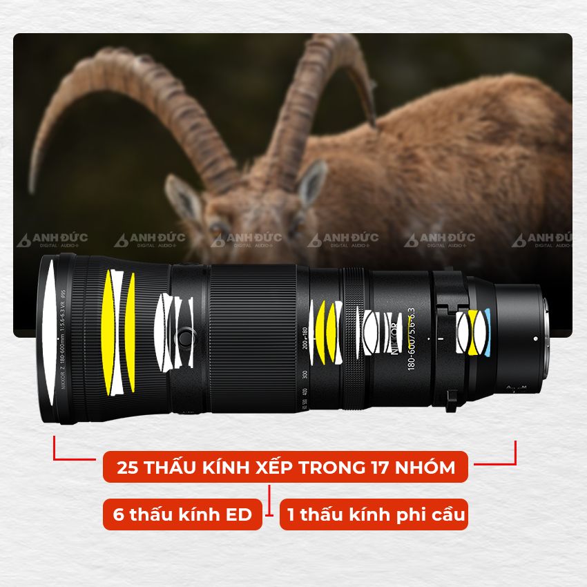 Nikkor Z 180-600mm f5.6-6.3 - Cấu trúc quang học