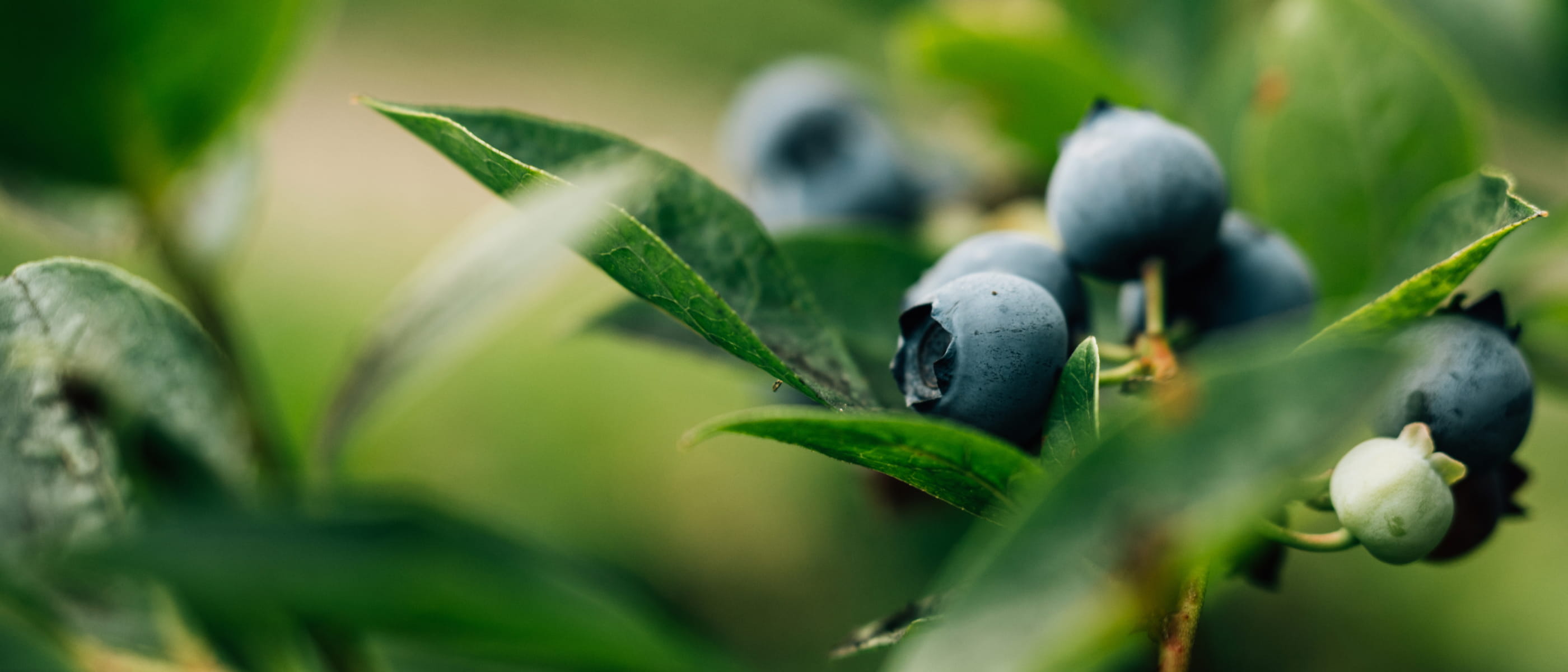 Hình Ảnh Được Chụp Bởi Ống Kính Nikkor Z Dx 16-50mm F/2.8 VR