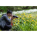 Ống kính Nikon Z 100-400mm f/4.5-5.6 VR S (Chính hãng) Ảnh khách hàng 3