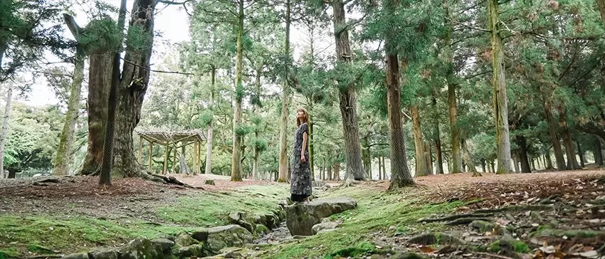 Nikon z dx 16-50mm f3.5-6.3 9